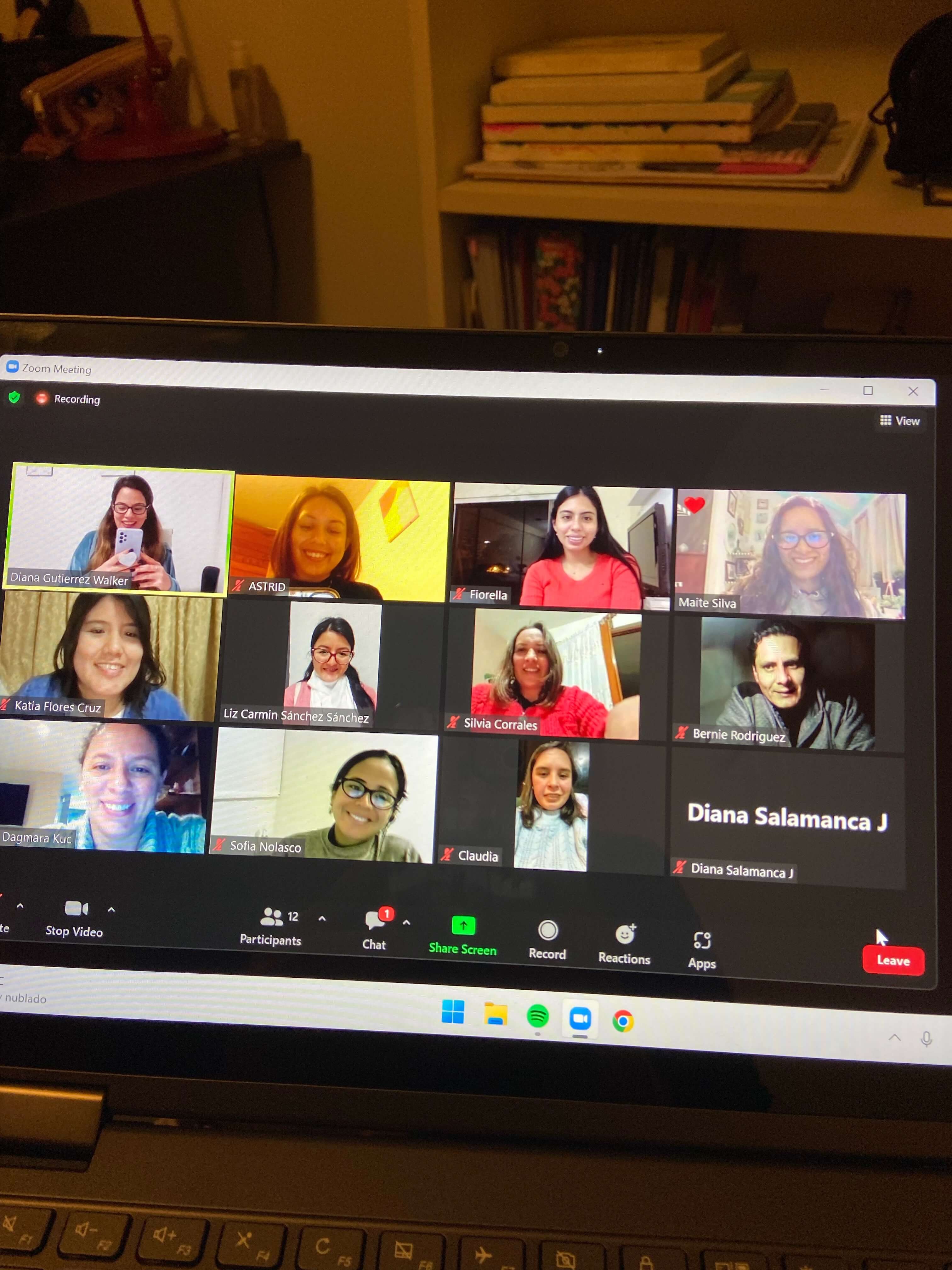 A group psychoeducation workshop running over Zoom