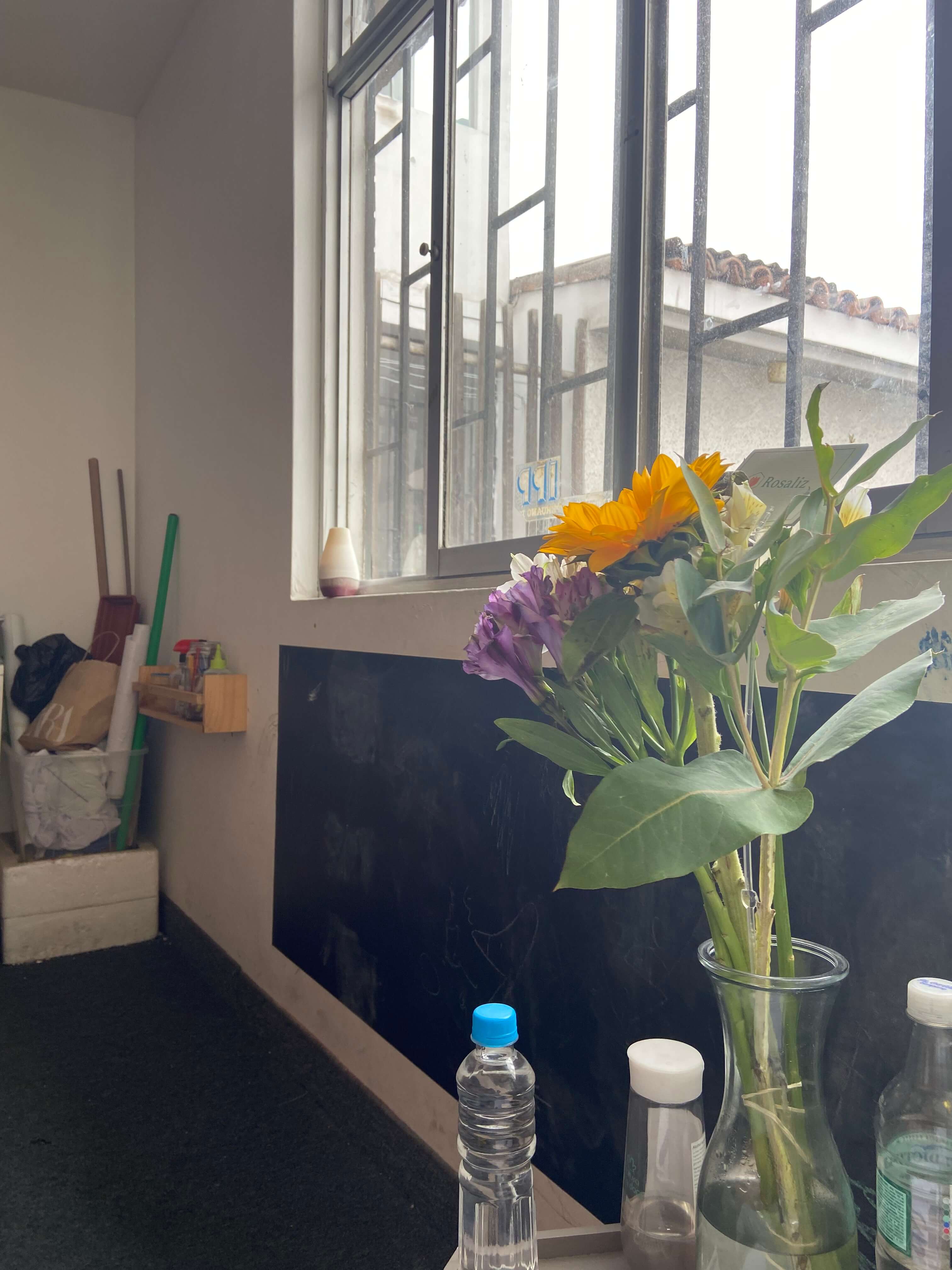 Flowers on a windowsill in the therapy space